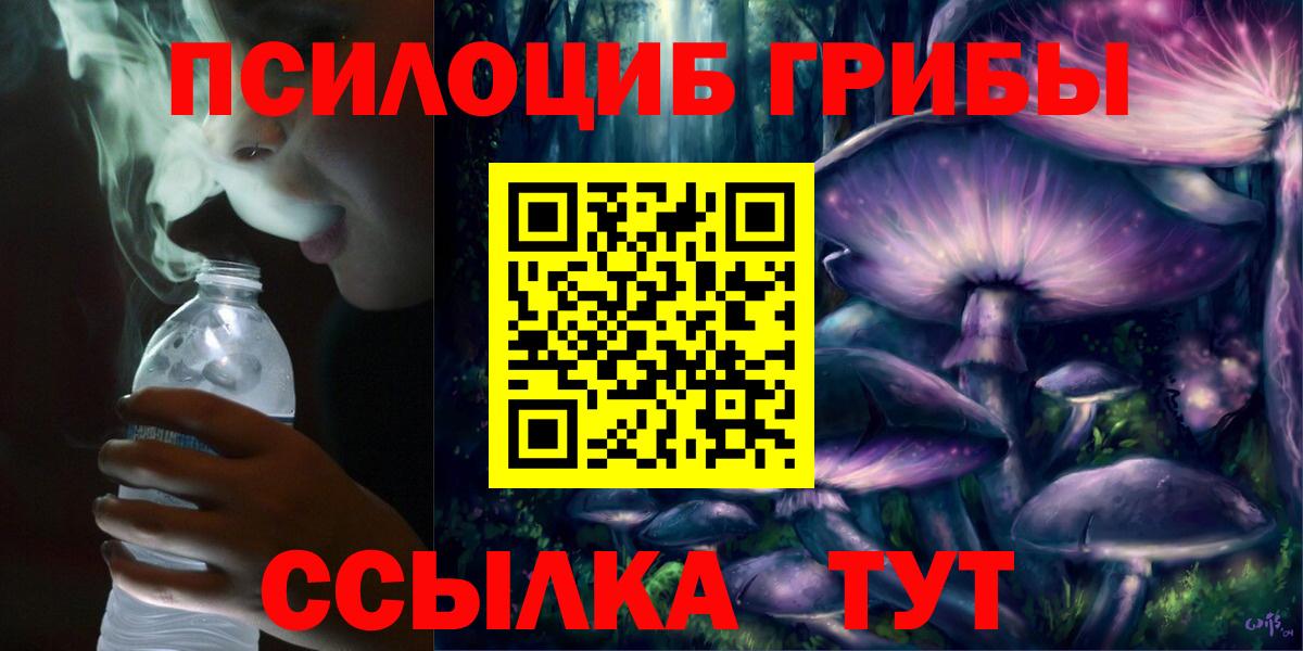 Псилоцибиновые грибы Psilocybe Лениногорск