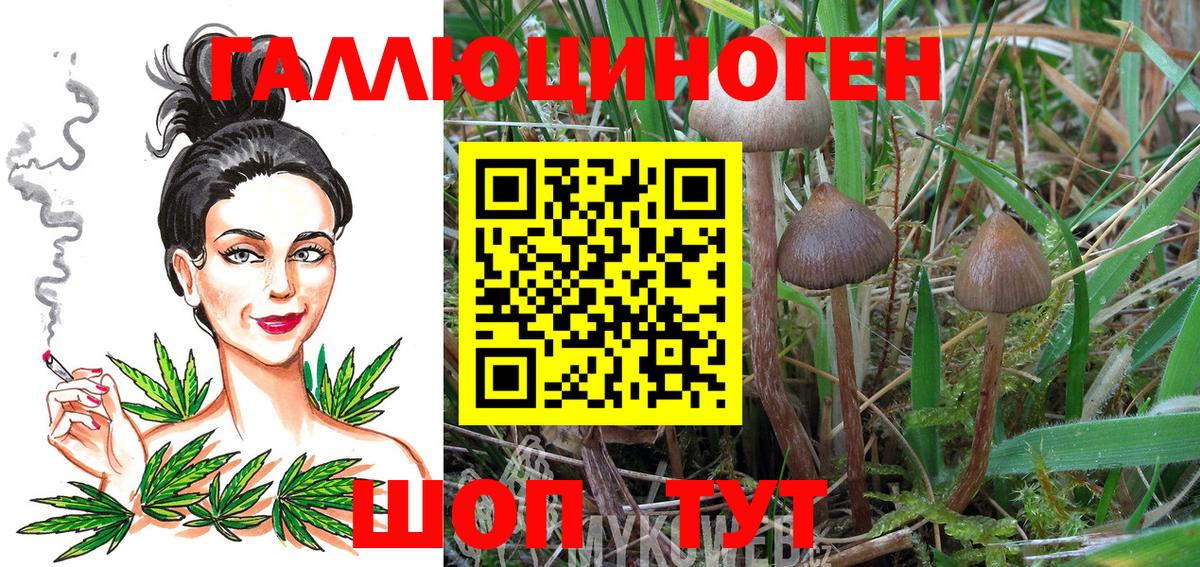 Лениногорск  Галлюциногенные грибы мицелий  Галлюциногенные грибы Magic Shrooms  Вход с VPN 