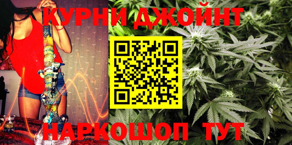 Бошки марихуана конопля  Вход с VPN  Лениногорск  МАРИХУАНА сатива 