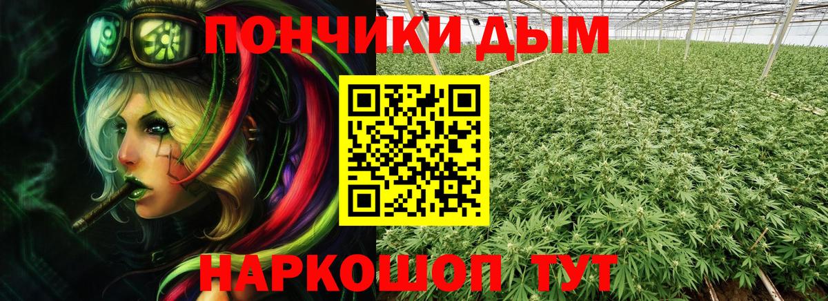 Бошки Шишки Ganja Лениногорск